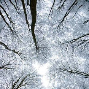 Meet your Posher, Lailla